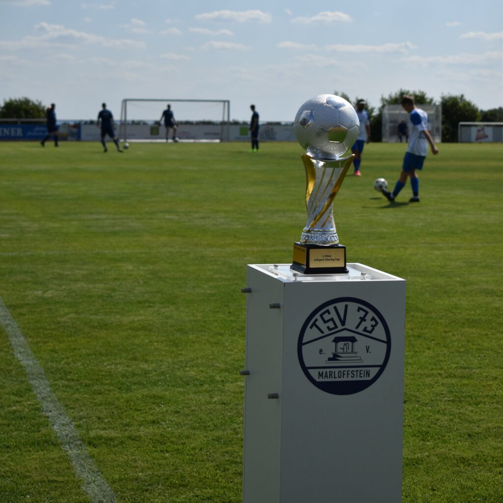Charity Cup